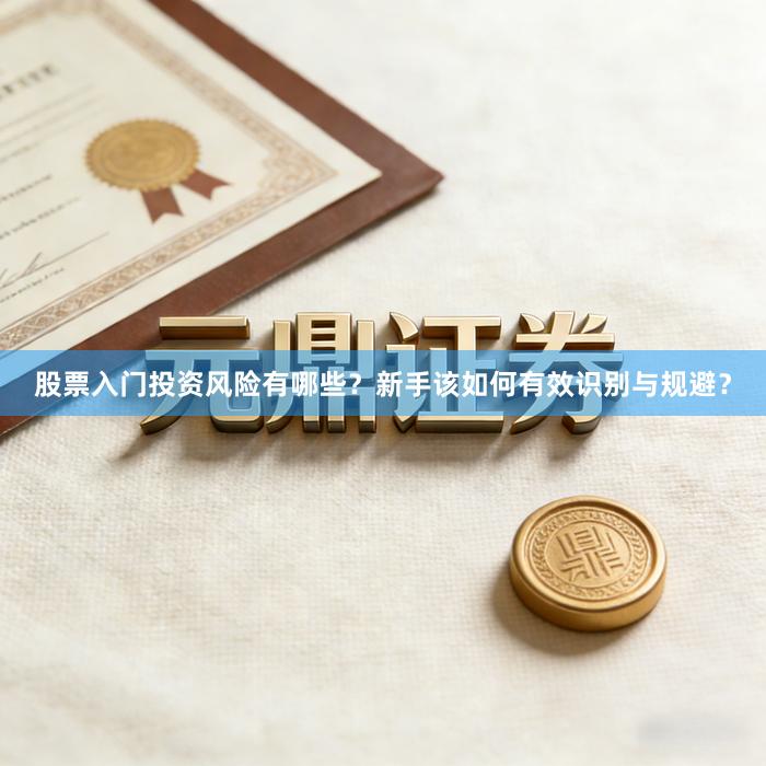 股票入门投资风险有哪些?新手该如何有效识别与规避?
