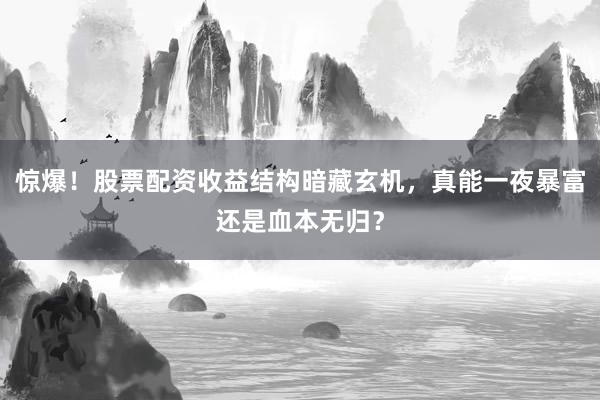 惊爆！股票配资收益结构暗藏玄机，真能一夜暴富还是血本无归？