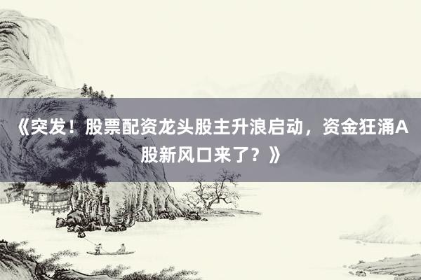 《突发！股票配资龙头股主升浪启动，资金狂涌A股新风口来了？》