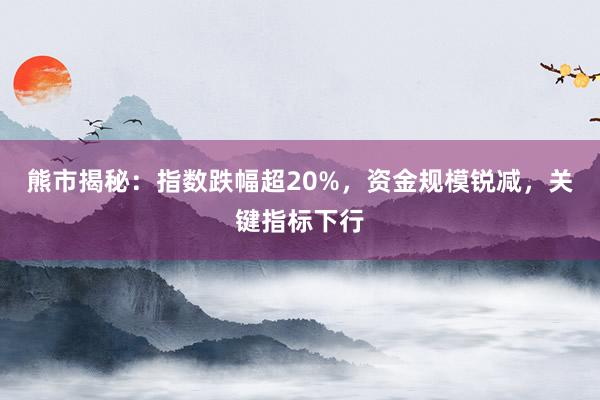 熊市揭秘：指数跌幅超20%，资金规模锐减，关键指标下行