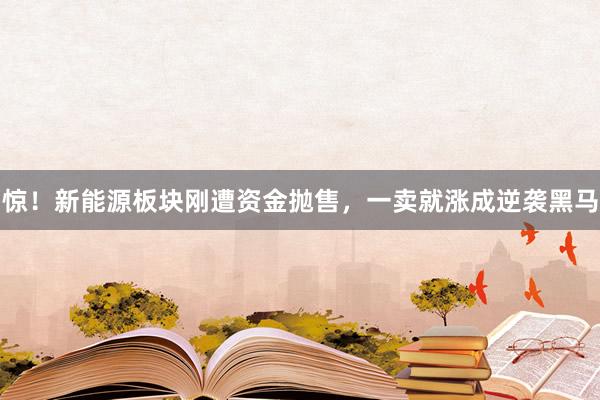 惊！新能源板块刚遭资金抛售，一卖就涨成逆袭黑马
