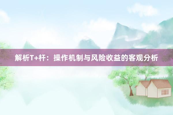 解析T+杆:操作机制与风险收益的客观分析