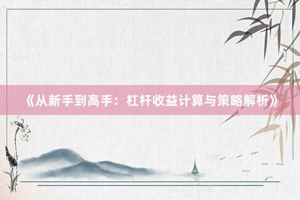 《从新手到高手：杠杆收益计算与策略解析》