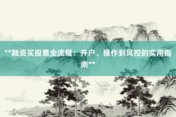 **融资买股票全流程：开户、操作到风控的实用指南**