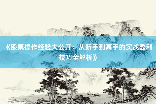 《股票操作经验大公开：从新手到高手的实战盈利技巧全解析》