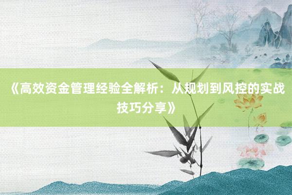 《高效资金管理经验全解析：从规划到风控的实战技巧分享》