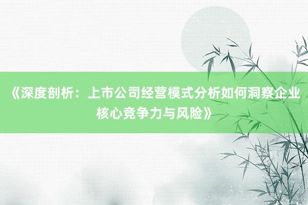 《深度剖析：上市公司经营模式分析如何洞察企业核心竞争力与风险》